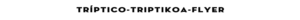 TITULO triptico
